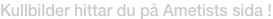 shapeimage_1_link_0